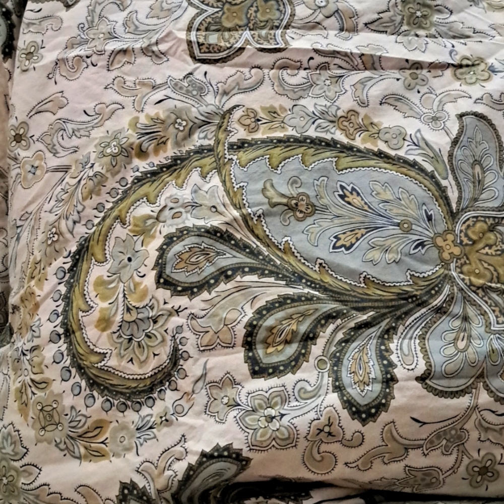 Pottery Barn Queen size duvet cover with 2 matching Euro shams.